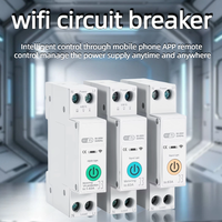 Interrupteur intelligent WiFi avec contrôle à distance, disjoncteur de surveillance intelligent ON-OFF 6kA 1P 1-63A pour usage domestique, contrôle par application TUYA, disjoncteurs WiFi MCB