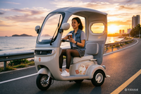 Tricycle de loisirs tout-en-un haut de gamme. Maniabilité sans effort, joie sans fin. Détendez-vous, laissez-vous aller et savourez la vie.