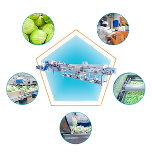 Ligne de traitement automatique de légumes <span class=keywords><strong>pois</strong></span> verts surgelés ligne de production automatique de légumes surgelés tomate <span class=keywords><strong>carotte</strong></span> machine à laver - Product Image 3