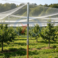 Poste de Acero Galvanizado Ecológico, Resistente y Anti-UV, para Soporte de Enredaderas y Frutales