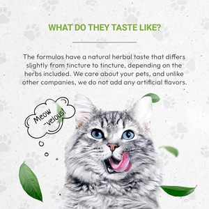 आकस्मिक उल्टी, दस्त और भूख की हानि के लिए पशु चिकित्सा सूत्र पेट पाचन देखभाल तरल - Product Image 5