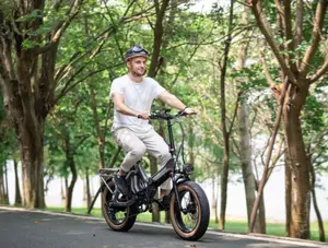 للبيع بالجملة ، سكوتر كهربائي كهربائي 14 بوصة ، إطار دراجة كهربائية لتحويل الدهون ، نطاق KiLong - Product Image 6