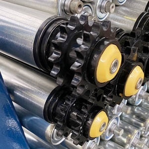 DP2223 Đôi Xích Con Lăn (Polymer /Nylon) /Ổ Đĩa Con Lăn Cho Băng Tải Con Lăn - Product Image 4