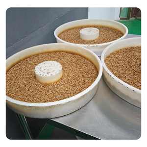 Snack per Animali Domestici, Larve di Tarme Gialle, Cibo per Uccelli, Mangime per Criceti, Snack Ornamentali - Product Image 2