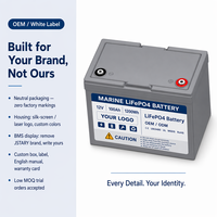 Batterie au lithium LiFePO4 12V 100Ah personnalisée avec logo, étanche, à décharge profonde, pour moteur de pêche, bateau, navire