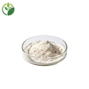 Extrait <span class=keywords><strong>d</strong></span>'<span class=keywords><strong>aloe</strong></span> <span class=keywords><strong>vera</strong></span> 100% naturel, riche en aloé émodine, <span class=keywords><strong>poudre</strong></span> <span class=keywords><strong>d</strong></span>'<span class=keywords><strong>aloe</strong></span> <span class=keywords><strong>vera</strong></span> pour l'alimentation, les boissons et les cosmétiques - Product Image 2