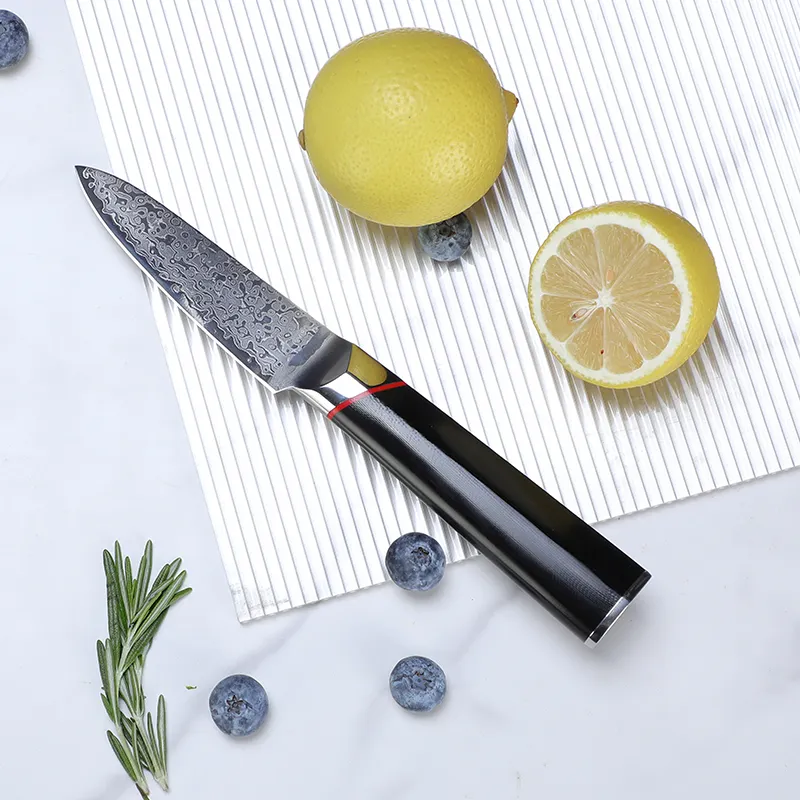 Tuobituo Professional 3.5 pouces AUS10 couteau à éplucher les fruits de cuisine forgé en acier damas avec manche G10