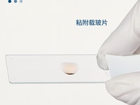 Pathological Microscope Slides/Blood Smear Slides/Adhesive Slides
