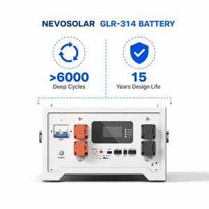 Batterie NEVOSOLAR GLR-314 16,08 kWh LiFePO4 51,2 V 314 Ah pour stockage d'énergie solaire, compatible avec les onduleurs - Product Image 1