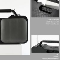 Radio FM Mini Portabel Nirkabel Stereo Speaker BT Aktif HIFI Bass Speaker Portabel Nirkabel Dengan Radio FM/TF/USB Speaker Aktif