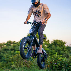 Bicicleta Eléctrica Urbana Plegable Modelo 2026 Q3, Enduro Ebike, Aleación de Aluminio, Batería de Litio 20*40, Fatbike, <span class=keywords><strong>Precio</strong></span> de Bicicleta Eléctrica - Product Image 4