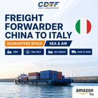 China nach Italien DDP Versandagentur Top Spediteur See- und Lufttransport FBA LCL FCL Versandagentur in die USA, UK, Italien, Australien