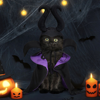 Costume de chien d'Halloween de luxe accessoire de vêtements pour animaux de compagnie de sorcière de fée sombre