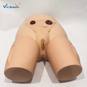 Modèle de cathéter pour organes génitaux féminins adultes avec vessie et urètre pour ressources pédagogiques en santé et formation CE ISO ROHS CNAS - Product Image 6