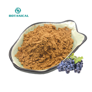 B.c. Saya menyediakan benih buah anggur P.E. Tanaman polifenol 80% bubuk Proanthocyanidin 95% kapsul ekstrak biji anggur - Product Image 1