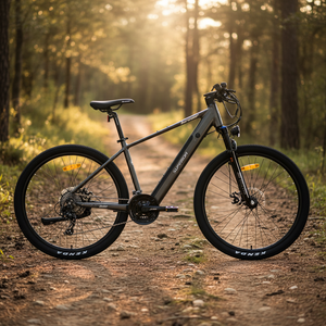 Bicicleta Eléctrica de Montaña de 29 Pulgadas con Frenos de Disco Hidráulicos de Aluminio, Batería de Litio de 10 Ah, Stock de Fábrica - Product Image 6