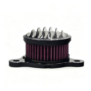 Kit de filtro de aire retro con nervaduras CNC para motocicleta Harley XL883 XL1200 X48, limpiador de aire vintage, negro y plateado - Product Image 6