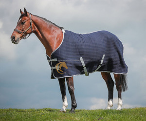 พรมกันหนาวแบบมีเสถียรภาพสำหรับม้ากันน้ำได้ผ้าริปสต็อปเนื้อผ้าไนลอนบุขนแกะคอตตอนเป็นมิตรกับสิ่งแวดล้อมจากอินเดีย - Product Image 3