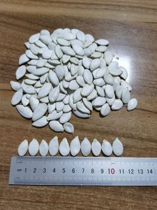 Cây trồng mới Tuyết Trắng Hạt bí ngô tỏa sáng da hạt bí ngô trong vỏ từ Trung Quốc - Product Image 3