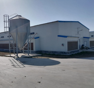 Casa de Campo Moderna Pré-fabricada em Estrutura de Aço Personalizada com Painel Sanduíche para Uso Avícola - Product Image 3