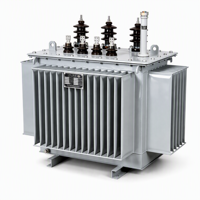 Transformador de Potencia Trifásico Industrial de Servicio Pesado, Sumergido en Aceite, con Bobinado de Aluminio, para Distribución de Corriente y Suministro Eléctrico