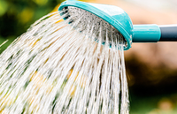 Meilleures ventes Bouilloire pour le jardinage domestique Arrosoir à long bec pour fleurs et légumes Seau pour vaporisateur