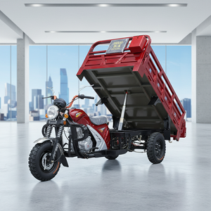 Tricycle à marchandises pour adultes à trois roues à essence à benne basculante motorisé avec cabine ouverte, vente chaude - Product Image 1