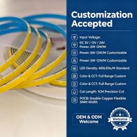 Bande LED en silicone intégral 5mm 400 LED/m, PCB double cuivre électroplaqué, 5V 12V 24V, plusieurs couleurs pour éclairage personnalisé large spectre