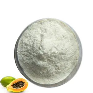 ISO Pure fresh papaya powder 100% natural papaya fruit extract with free sample organic papaya powder