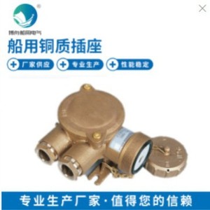 ขั้วต่อไฟฟ้าทางทะเลแบบกันน้ำ รุ่น CZS2-2/4D2  ทำจากทองเหลือง พร้อมบานพับ  อะไหล่เรือ - Product Image 2