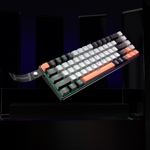 Teclado Mecánico para Juegos de Perfil Bajo con 68 Teclas, Iluminación RGB Fluida, Puerto USB-C, Cable Desmontable, Interruptor Azul, Distribución US - Product Image 3