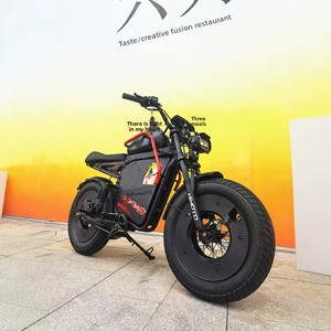 Vélo électrique intelligent pour adultes, homologué pour la circulation transfrontalière, avec moteur avant, batterie 48V 20Ah, autonomie 30-60 km, modèle X1, offres X1 Longue Portée - Product Image 2
