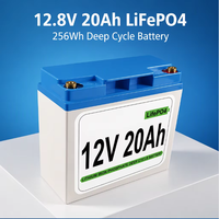 Baterai OEM 12V 20Ah LiFePO4 Deep Cycle 12.8V 256Wh 2000+ Siklus dengan BMS Terintegrasi untuk Penyimpanan Energi Surya, RV, Kelautan, Langsung dari Pabrik