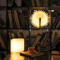 Lampe de lecture LED minimaliste en bois pliable, colorée, rechargeable par USB, avec contrôle tactile, motifs Chat Lapin Panda
