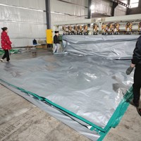 Bâche en polyéthylène tissé PE extra résistante 250 GSM pour la couverture de marchandises et la construction
