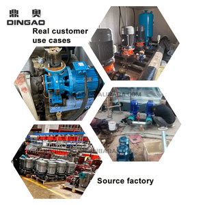 DINGAO High Pressure Centrifugal Pump Single Stage Cast Iron Body Easy Installation Pipe Vertical Pipeline Pump for Booster - Product Image 5