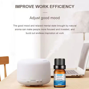 Humidificador con Logotipo Personalizado, Aceite Esencial de Alta Calidad, Aceite Perfumado 100% Natural a Base de Plantas, Aceite de Lavanda - Product Image 3