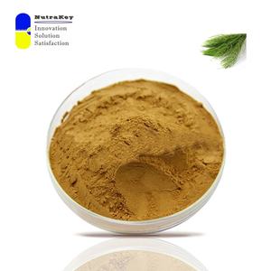 Premium atkuyruğu özü tozu <span class=keywords><strong>7%</strong></span> silika | Gıda sınıfı organik Equisetum Arvense tozu | Doğal saç, cilt ve kemik desteği - Product Image 4