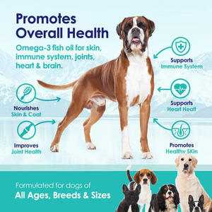 Integratore alimentare sanitario Pet urinario mastica morbida vescica mirtillo rosso supporto nutrizione per cani e gatti - Product Image 4