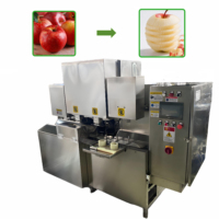 Automatische appel-peer-perzik schil-, kern- en snijmachine met geïntegreerde verwerking