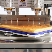 Máquina Cortadora de Pasteles Ultrasónica Automática que Corta con Precisión Triángulos Isósceles, Rombos, Círculos y Cuadrados