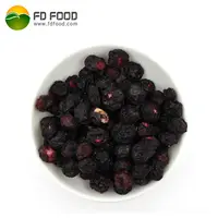 LUJIA - FDFOOD - Fresh Blueberry Snacks