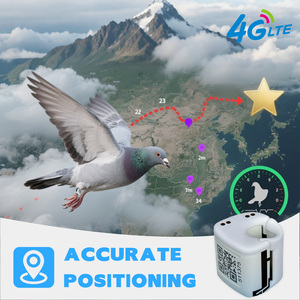 Bagues de patte GPS VN06 pour pigeons, traceur GPS 4G, positionnement GPS en temps réel, bague GPS pour pigeons, traceur pour animaux de compagnie, pour les jeux - Product Image 4