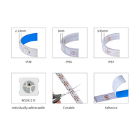 Bandes LED programmables à pleine couleur 5V WS2812b SK6812 SMD5050 avec circuit intégré externe pour bars et KTV