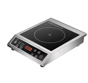 2025, - Product Image 3
