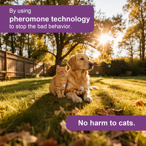 Spray Calmante Natural para Gatos Directo de Fábrica, 4% Feromonas Felinas, Anti-Ansiedad y Control de Arañazos, Spray Relajante para Mascotas 60ML - Product Image 6