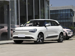 Китайские дешевые цены 2024 2025 модель Dongfeng Nano 01/Nammi 01 4 колеса электрические китайские мини-автомобили для продажи - Product Image 5