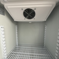 Réfrigérateur Commercial Vertical pour Bière 300L, Économe en Énergie, Porte Vitrée, Sans Givre, Température Numérique