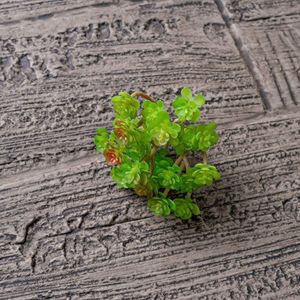 CallaFloral Plante succulente artificielle miniature pour décoration de mariage, artisanat, plastique vert, décoration intérieure et extérieure, 24 cactus fourchus - Product Image 3