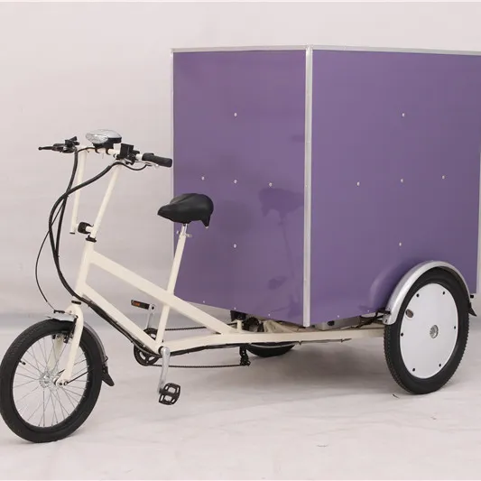 500W Pédale tricycle électrique de cargaison de haute de chargement électrique trikes électrique adapté aux besoins du client de cargaison tricycle fabricant